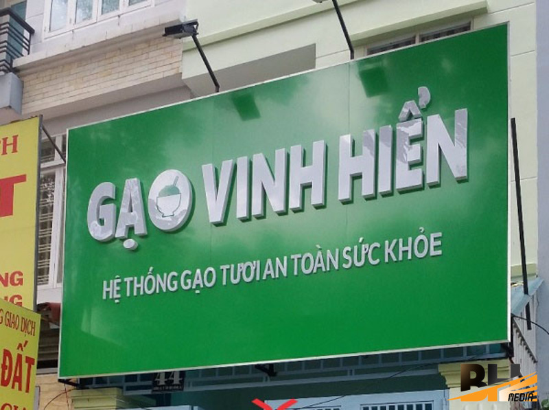 Ảnh 5